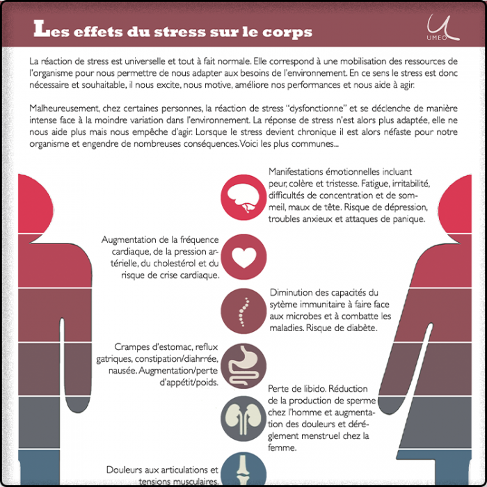 Les effets du stress sur le corps
