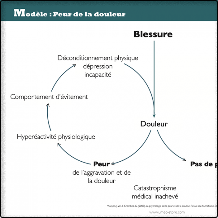 Modèle de la peur de la douleur