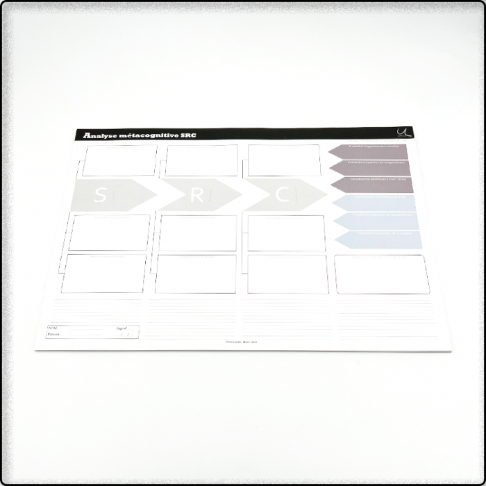 Sous-mains - Analyse Métacognitive SRC