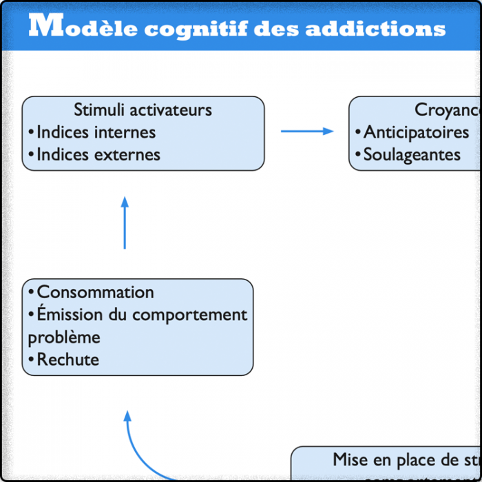 Modèle cognitif des addictions (Modèle ASP)