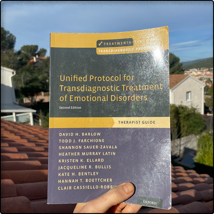 Formation au Protocole Unifié pour le traitement transdiagnostique des troubles émotionnels