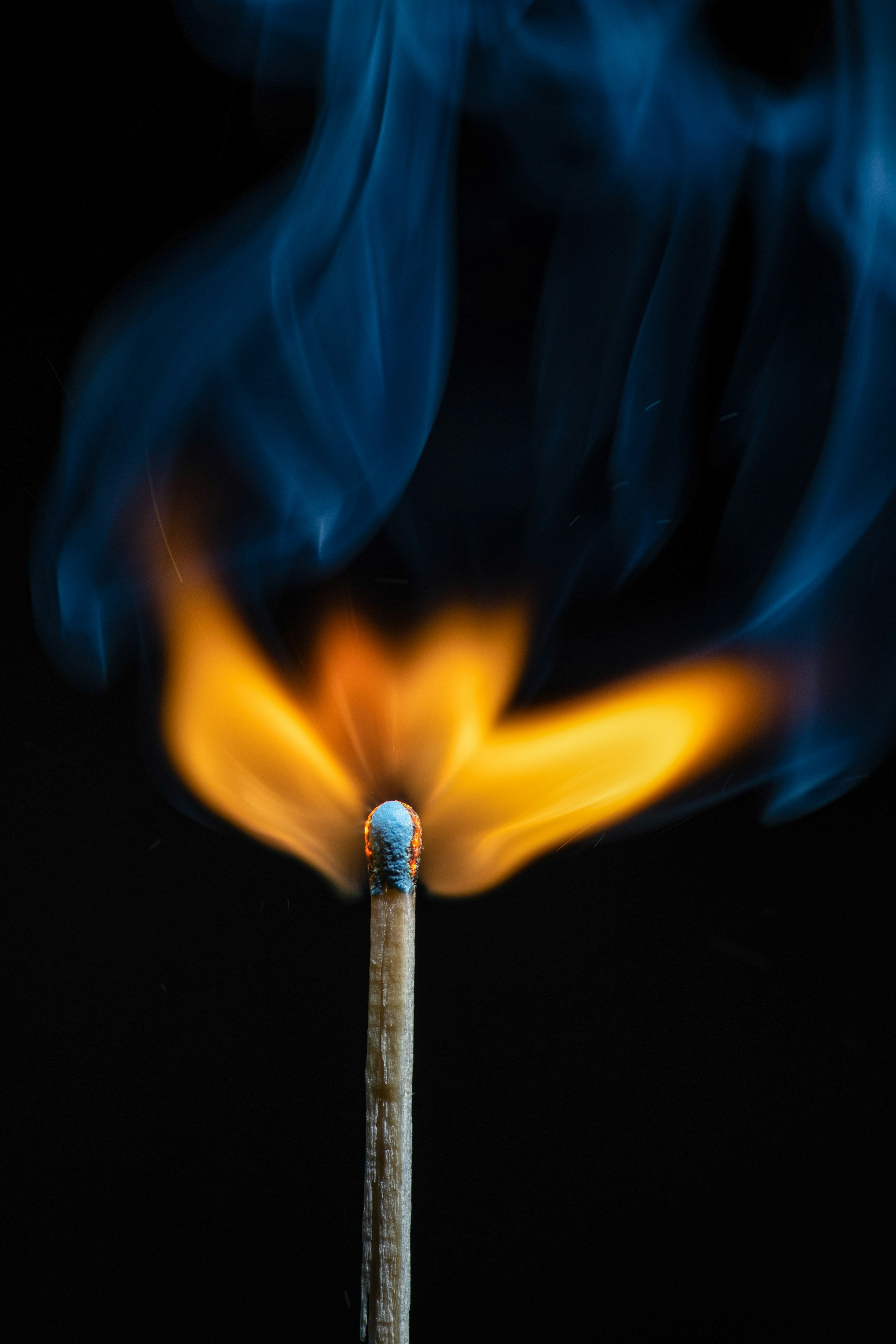 Le burst d’extinction : quand la disparition d’un comportement passe (souvent) par une dernière tempête